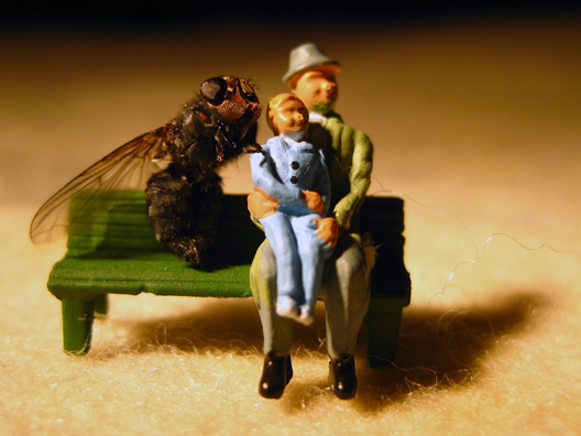 Nika Meyers Patrick Luteran fly couple bench Nika Meyers and Patrick Luteran - Untitled